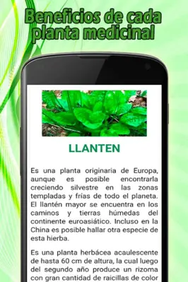 Medicina natural android App screenshot 3